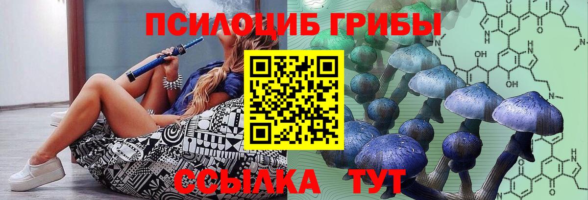 Псилоцибиновые грибы мухоморы Новошахтинск