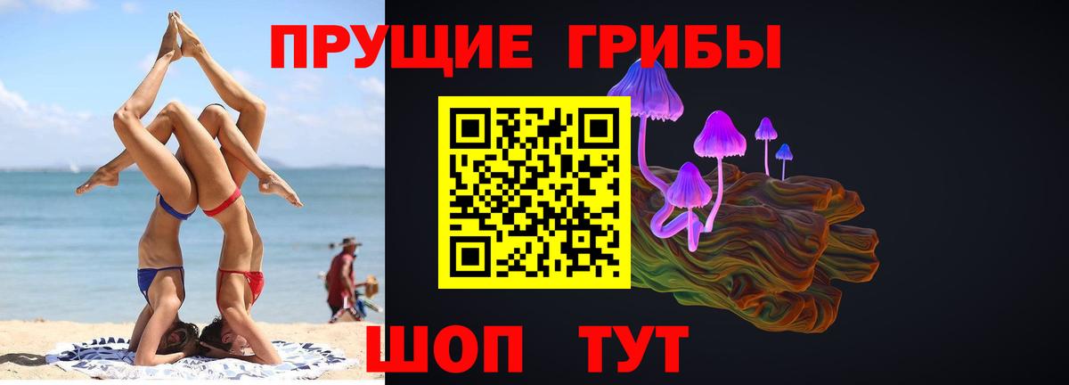 Галлюциногенные грибы Cubensis  Псилоцибиновые грибы ЛСД  Вход с VPN  купить  сайты  Новошахтинск 